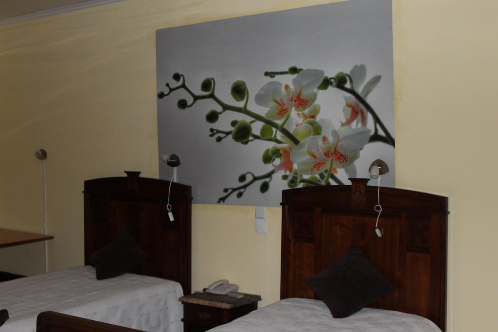 Hostel Avenida Coimbra Dış mekan fotoğraf